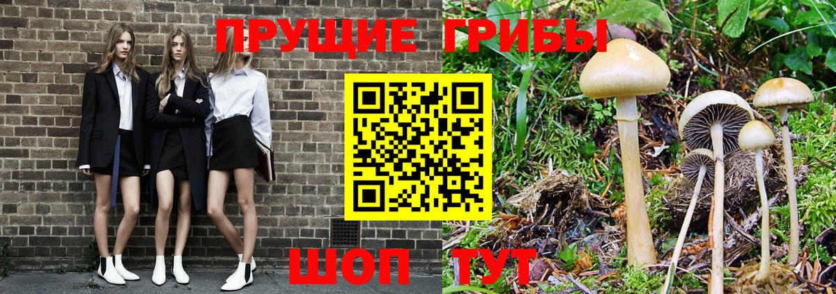 Меф  Вичуга  НБОМе  APVP СК   Вход с VPN  Метадон  Мефедрон   LSD-25  Купить наркотик  ГАШИШ  Конопля  Cocaine 